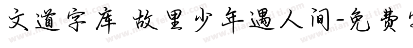 文道字库 故里少年遇人间字体转换